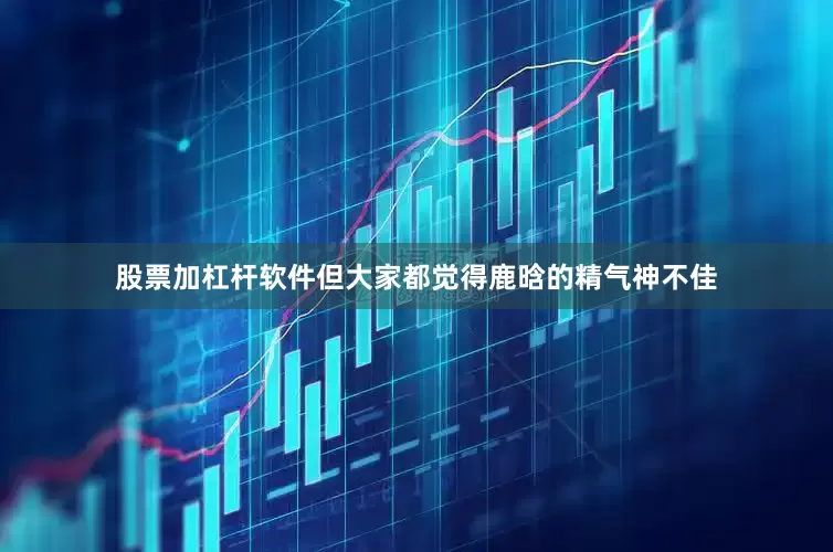股票加杠杆软件但大家都觉得鹿晗的精气神不佳