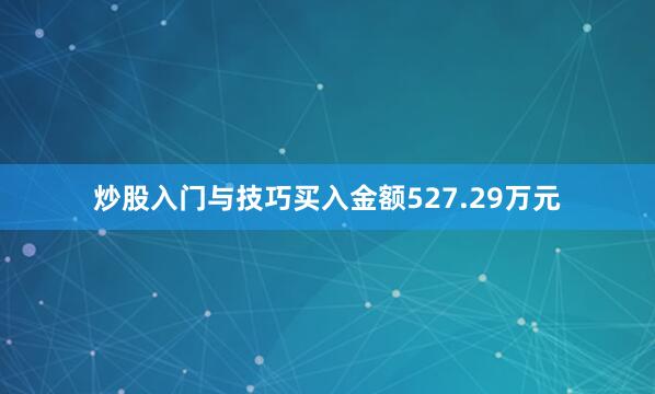 炒股入门与技巧买入金额527.29万元