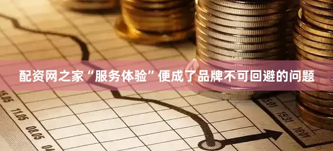 配资网之家“服务体验”便成了品牌不可回避的问题